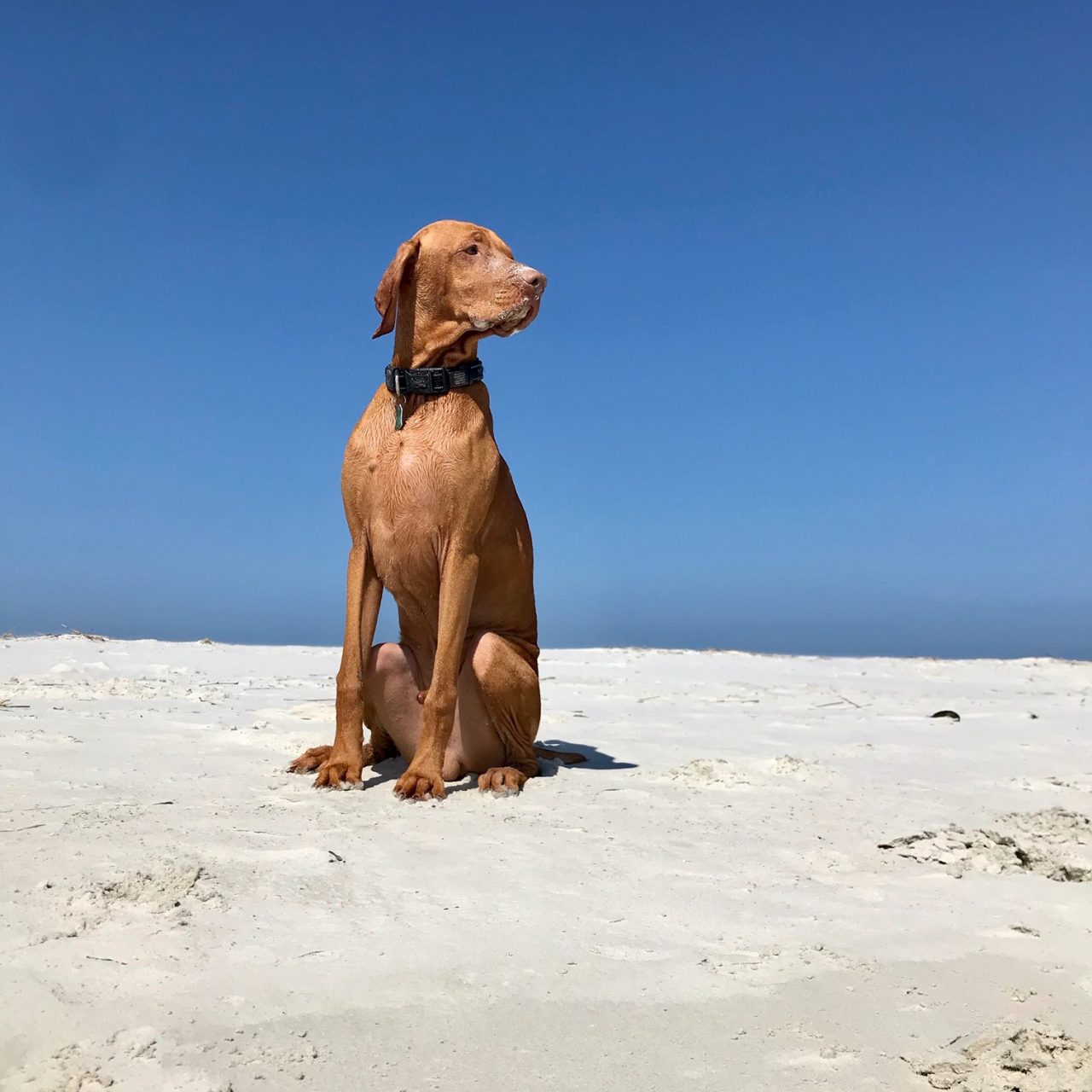 Core Realty Jacksonville Real Estate Company